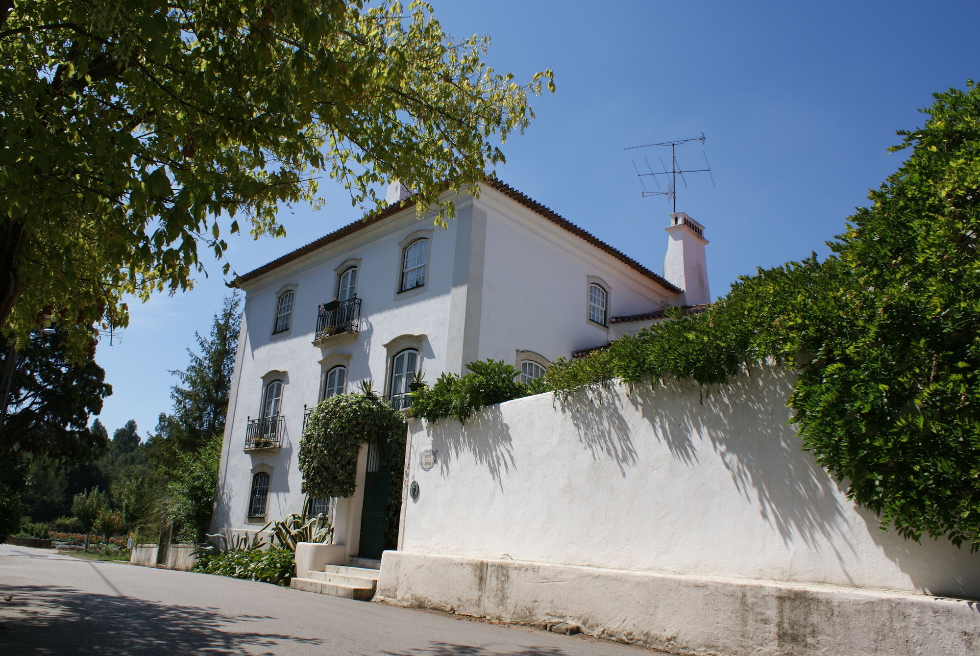 Quinta De Sao Lourenco Anadia Exterior foto