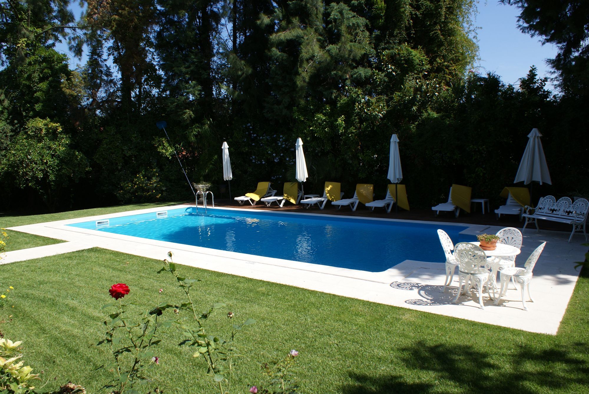 Quinta De Sao Lourenco Anadia Exterior foto