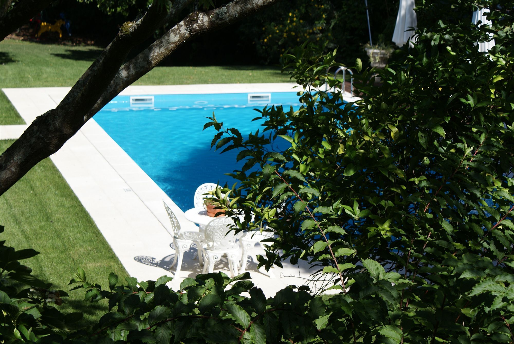 Quinta De Sao Lourenco Anadia Exterior foto